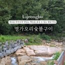 준호네오리&닭숯불구이 | 계곡을 바라보며 백숙을 즐길 수 있는 의정부 장암역 계곡식당 맛집 추천 명가오리숯불구이 방문 후기