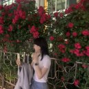 통일청란 | 여름날의 조각