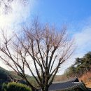 진주 응석사 대웅전 이미지