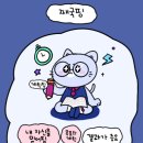 둥글개 둥글개 이미지