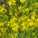 천왕농장 이미지