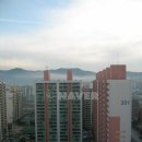 신나라공인중개사사무소 이미지