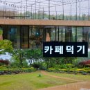 덕기농장 | 익산 야외 정원 바나나 온실 대형 카페덕기