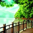 영산포홍어거리 이미지