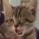 기장집국수 이미지