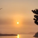 거금도휴게소 이미지