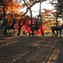 우제류를위하여 이미지