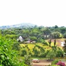 아루농장 이미지