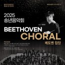 2025년 충북도립교향악단 연주회 이미지