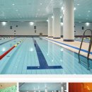 서울스포렉스 이미지