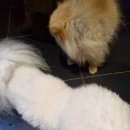 하마노래연습장 이미지