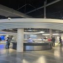 981 | 제주도 제주시 애월 가볼만한 곳 추천 액티비티 추천 981파크 내돈내산 후기