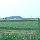 어음교 Daum카페