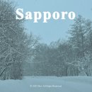 가로등슈퍼 | 삿포로 비에이 당일치기 여행 비에이-아사히카와 렌트 투어 장단점 비교, 렌터카 후기 비용