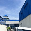 [파주 풀빌라] 워크숍 숙소 추천! 리조트 오블라디 풀빌라 해리슨동 내돈내산 후기
