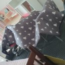 대호세탁 이미지