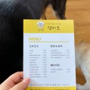 댕마트 네이버블로그