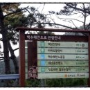 백암쉐이리 이미지