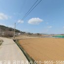 신안군 압해읍 동서리 답1944제곱,매6천9백,전남토지매매,신안토지매매 이미지