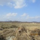 장산1리 이미지