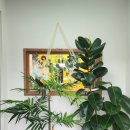 제주나랑하 이미지