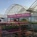 예일농장 이미지