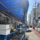 광안어패류시장 이미지