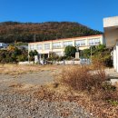 백초초우두분교장 이미지