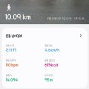 갈맷길(9코스) | [끄적끄적.38] 부산갈맷길걷기 프로젝트 9코스 1구간 상현마을 - 보림교 - 이곡마을