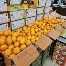 상지마트 이미지