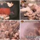 신신곱창 이미지