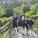 남목bhc치킨 이미지