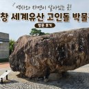 고인돌대로 | 고창여행 | 필수 코스! 고창 세계유산 고인돌박물관 다녀온 솔직 후기