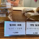 세화리해수욕장 이미지