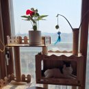 마음쓰담쓰담 원예치료 테라리움 만들기 | [개강후기_원종2동]가드닝에 전문성을 더해 마음을 치유하는 원예교육복지사 (자격증 과정)