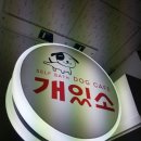 개있소 네이버블로그