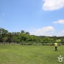 별빛목장 이미지