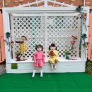 철원초등학교 이미지