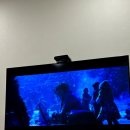 챌린지 호텔 | 추천 삼척 호텔 힐스노클비치호텔 CABIN A TWIN 311호 내돈내산 솔직 숙박 후기(9월 3주차 왓츠인 마이...