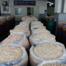 한경희광천토굴새우젓 이미지