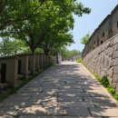 성곽 예술문화거리 | 수원 행궁동 당일치기 힐링 여행 코스 🏯🚶‍♀️🎨☕️ (역사, 성곽, 예술, 여유를 담아서)