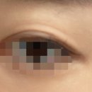 스피드운수 이미지
