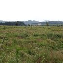 낙동강체육공원 야구장 이미지