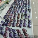 아이비스 안경 콘택트 이미지