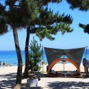 죽도해수욕장 야영장 이미지