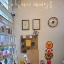 빽살롱 이미지