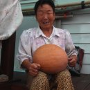 동네먹거리
