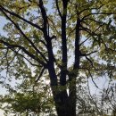 신가공원 이미지