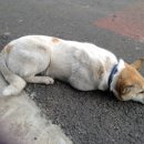 우도쉼팡 이미지