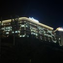 여수 235 | 세이지우드CC 여수경도, 오션뷰 돌산도-금오도 라운드후기, 세이지우드 골프웨어